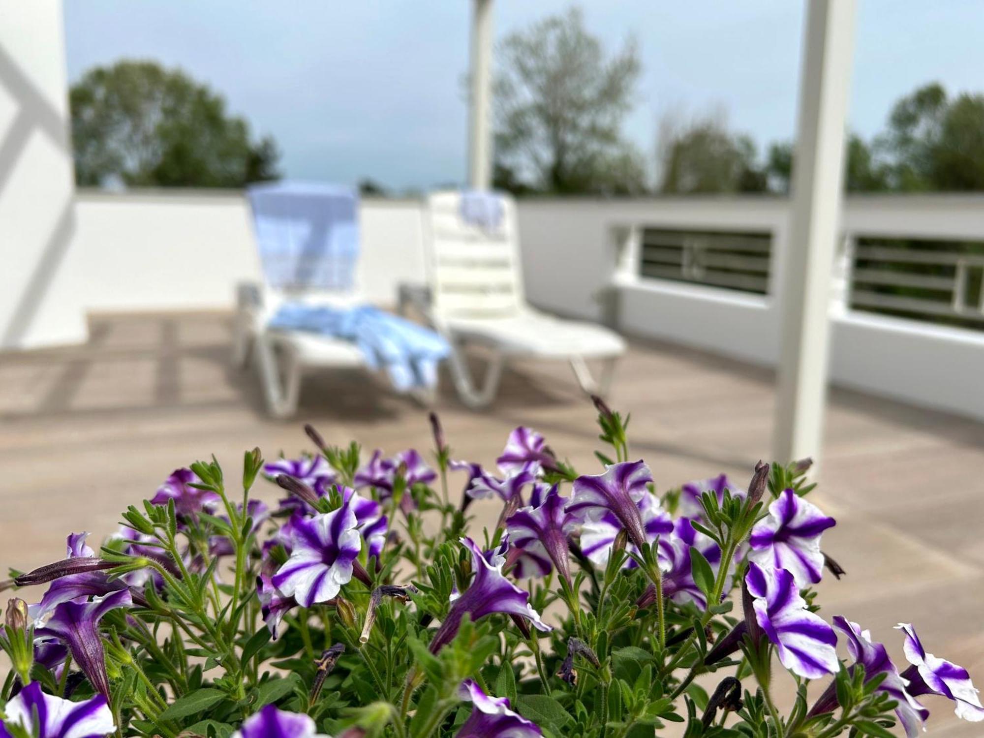 Dune Dependance Bibione Zewnętrze zdjęcie